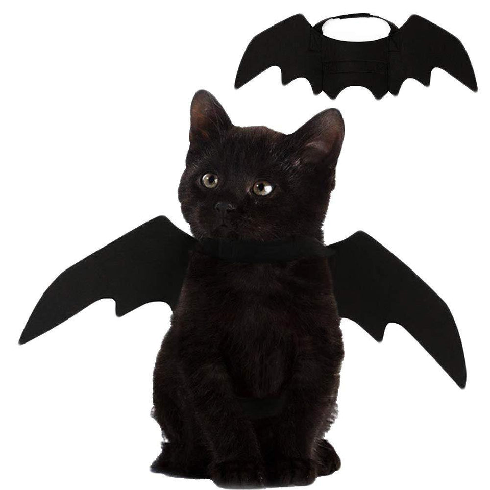 Halloween Cat Bat Wings