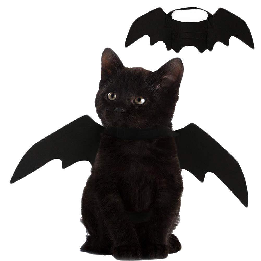 Halloween Cat Bat Wings
