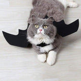 Halloween Cat Bat Wings