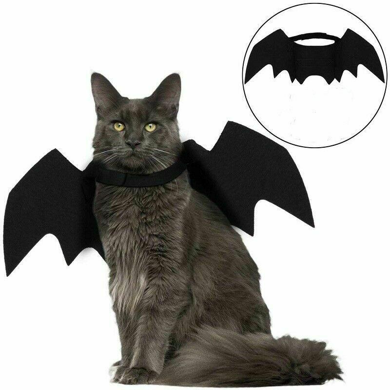 Halloween Cat Bat Wings