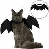 Halloween Cat Bat Wings